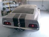 Mustang Mach 1